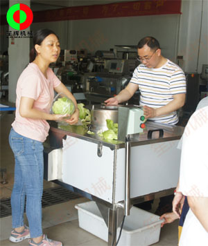 蔬果分瓣機現(xiàn)場測試，客戶滿意切割效果！