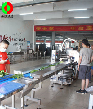 枕式蔬果包裝生產(chǎn)線(xiàn),客戶(hù)現(xiàn)場(chǎng)測(cè)試驗(yàn)收！